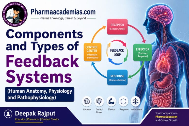 Components and Types of Feedback Systems