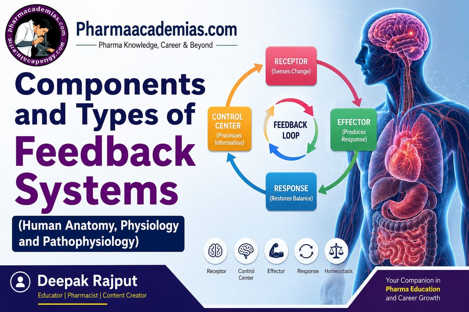 Components and Types of Feedback Systems