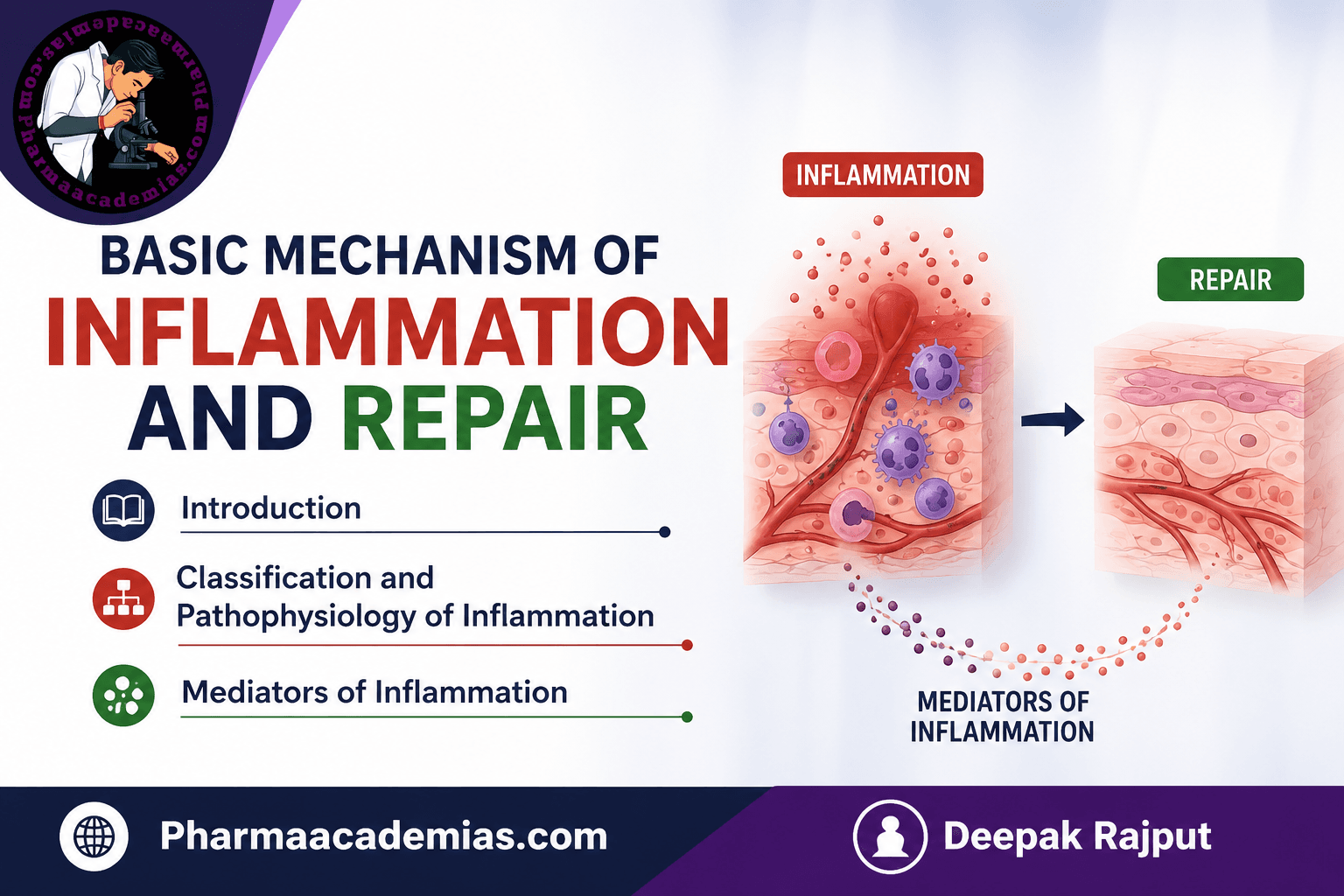 Mechanism of Inflammation