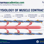 Physiology of Muscle Contraction