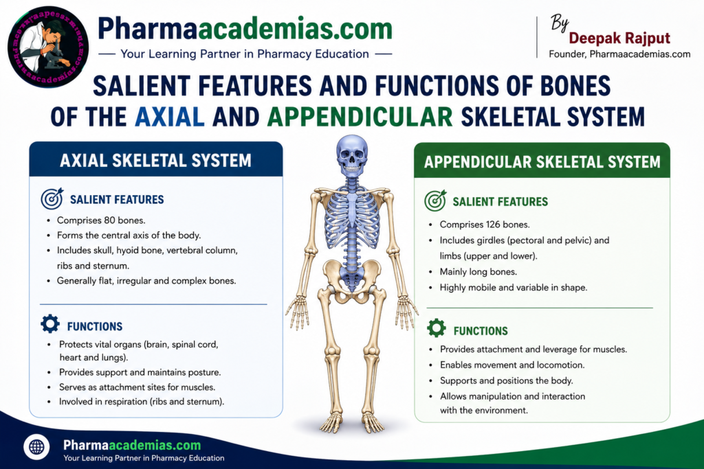 Salient Features and Functions of Bones