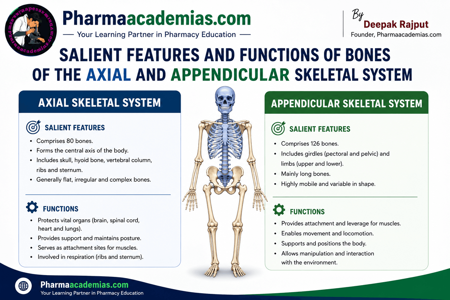 Salient Features and Functions of Bones