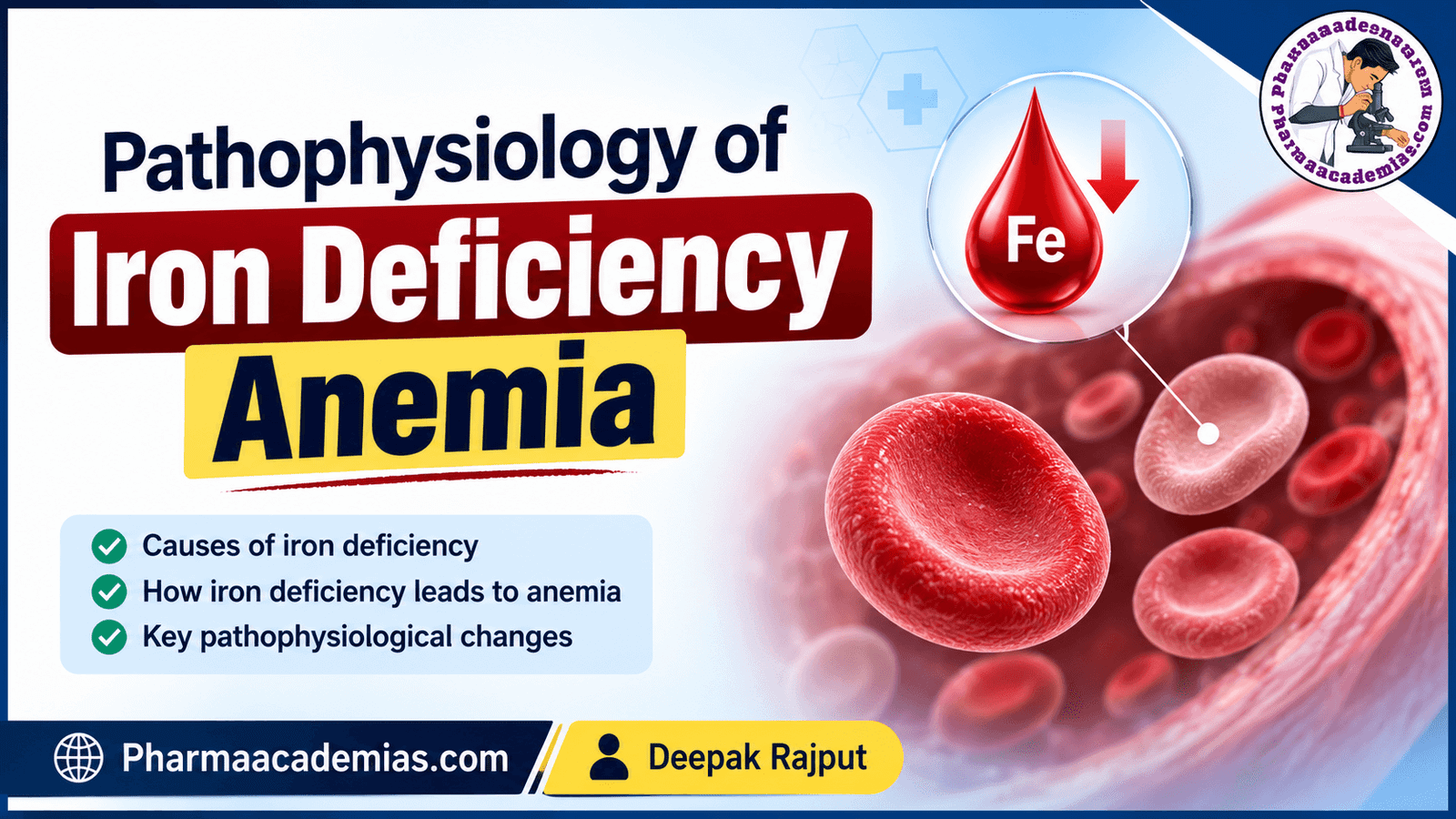 Pathophysiology of Iron Deficiency Anemia