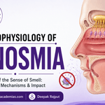 Pathophysiology of Anosmia