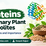 Proteins as Primary Plant Metabolites