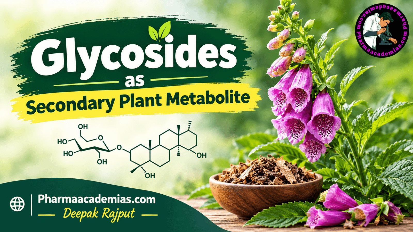 Glycosides as secondary plant metabolite